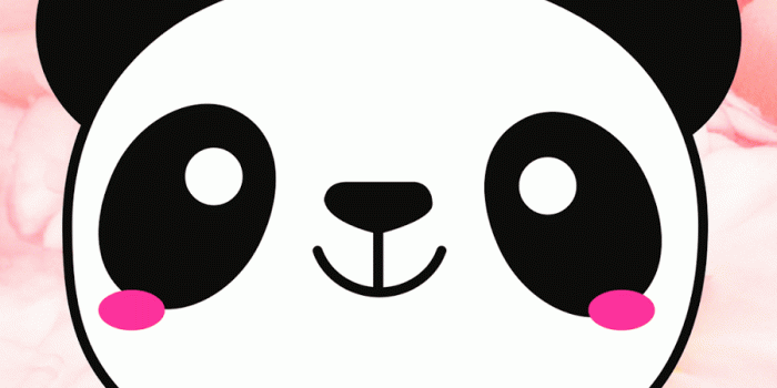 900x1600 Kawaii Panda Wallpapers