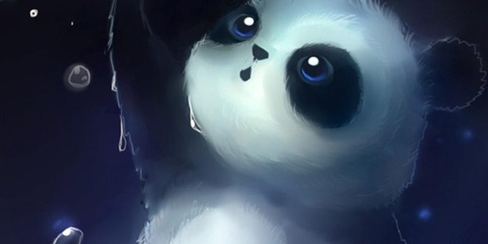 1080x1920 Related image | Cute & random things & inspiration | Panda