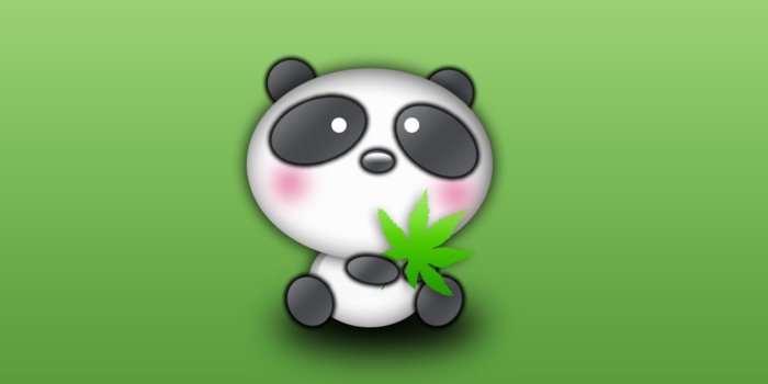 1920x1080 Cute Panda Wallpaper (62+ pictures)