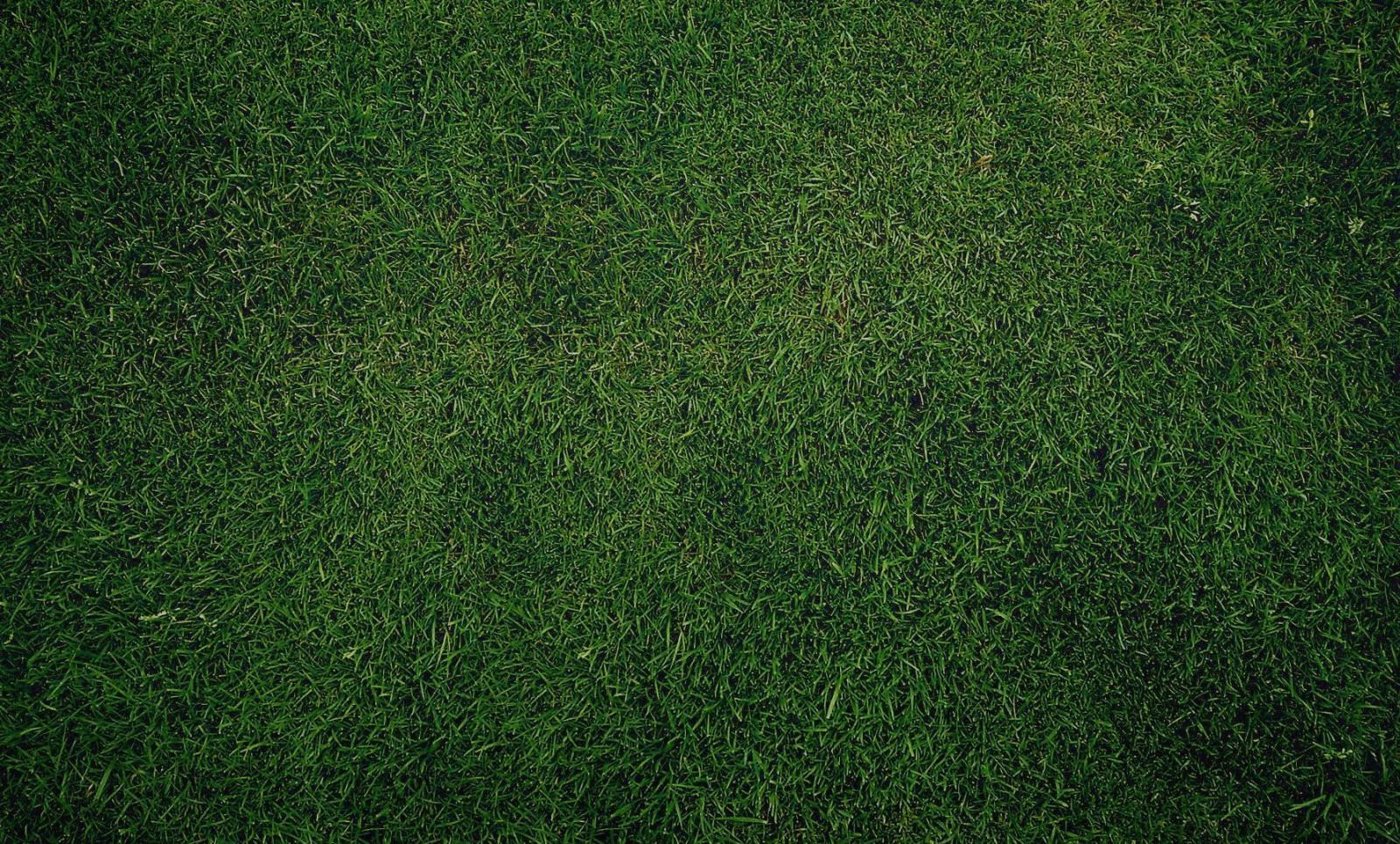 1790x1080 Dark Green Grass Texture And High Resolution | Ideas for the House