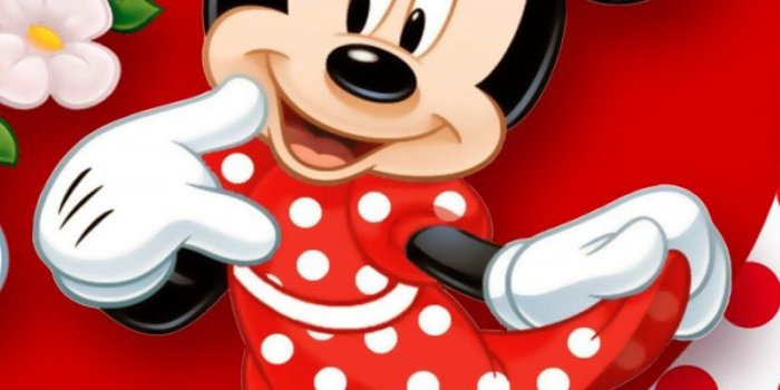 800x1200 Download wallpaper 800x1200 minnie mouse, mickey mouse, mouse iphone