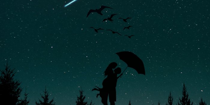 4000x6000 Download wallpaper 4000x6000 couple, silhouettes, starry sky, love
