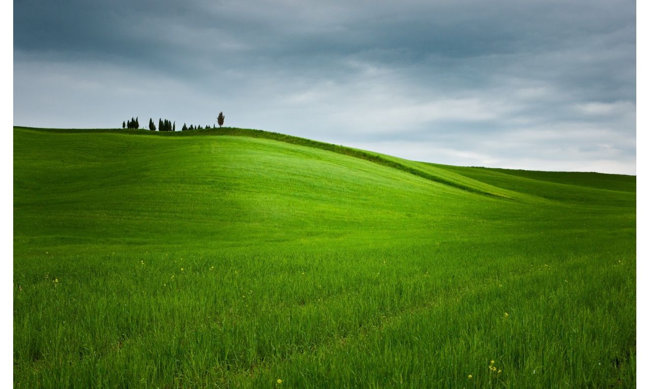 1280x768 The rolling hills are draped with the most lush green grass! | Green