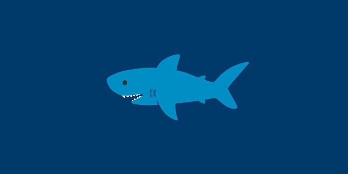 1242x2208 iPhonePapers - ak01-little-small-cute-shark-minimal
