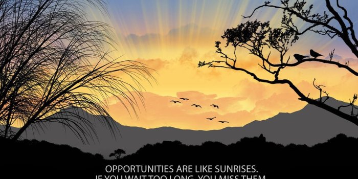 1024x768 Good Morning Wallpaper #48