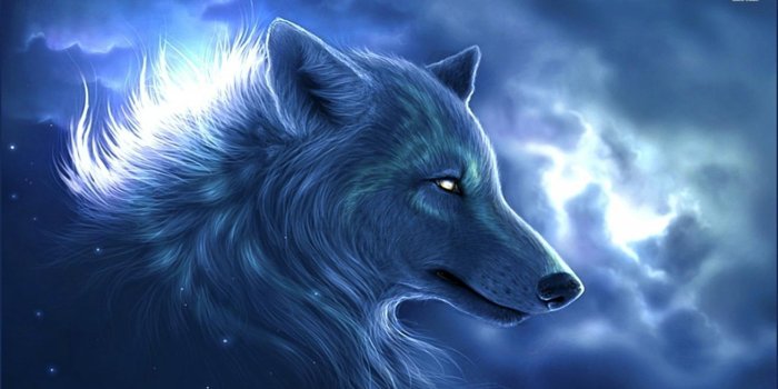 1310x737 46+] Galaxy Wolf Wallpaper on WallpaperSafari