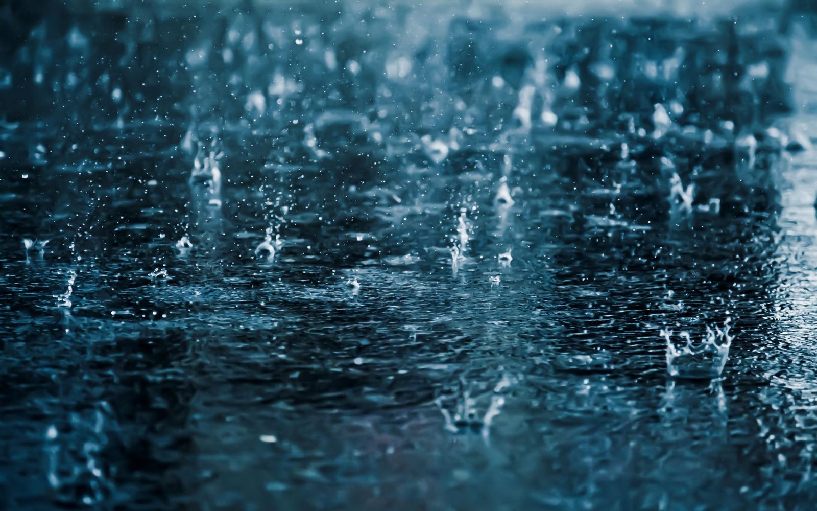 2560x1600 49+] Animated Rain Wallpapers for Desktop on WallpaperSafari