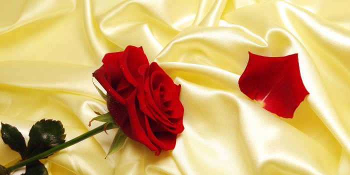 2560x1600 Best 57+ Silk Wallpaper on HipWallpaper | Chinese Silk Wallpaper