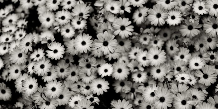 2560x1440 10 New Black And White Aesthetic Wallpaper FULL HD 1080p For PC