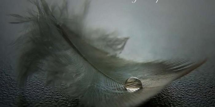 1600x1200 Inspirational Quotes Hd Wallpapers Pixelstalk Positive - Inspiring