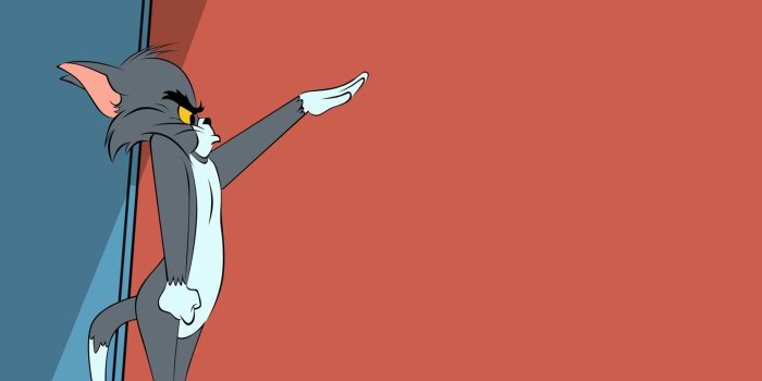 2016x1055 2803628 cartoon cats tom and jerry wallpaper and background | Other