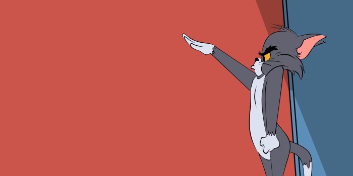 1920x1080 Tom In Tom In Jerry, Tom And Jerry, Cartoon Hd Wallpaper - Tom And