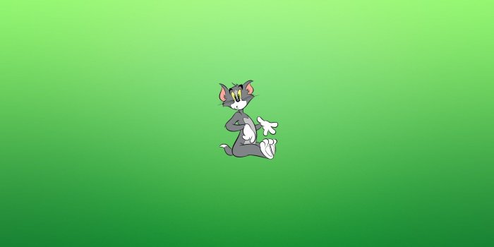 1920x1200 Tom and Jerry Cat Look Cartoon #6919120