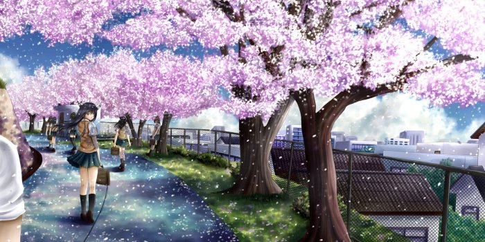 1920x1080 Anime Cherry Blossom Desktop Wallpaper