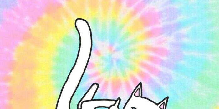 1195x1792 RIPNDIP Wallpapers