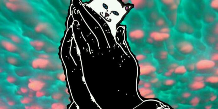 1374x1792 Rip N Dip Wallpaper 193315 - Rip N Dip (#474831) - HD Wallpaper Download