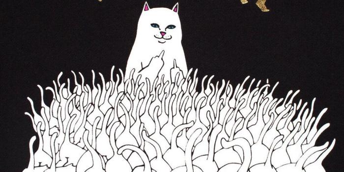 960x960 123 - Rip N Dip All Hail Free Wallpaper & Backgrounds