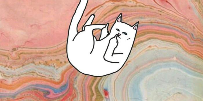 1247x1792 Ripndip Iphone Wallpaper (69+) - Free Download | Techpresentations