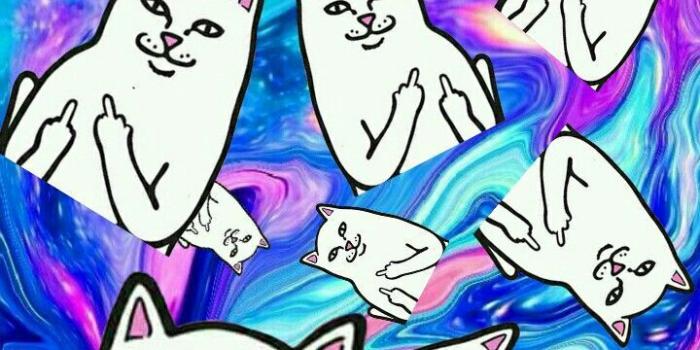 720x1280 cafa2420 #ripndip #wallpaper #skate | Ripndip | Iphone wallpaper