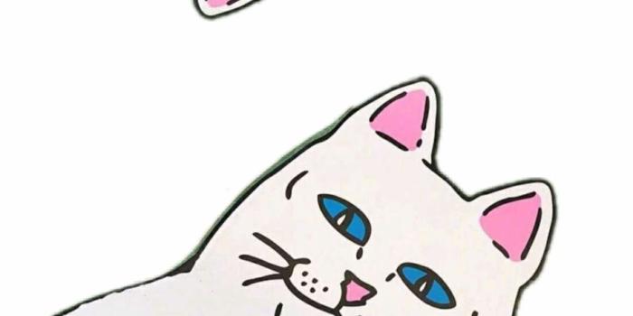 920x1676 Ripndip Sticker - Wallpaper, Transparent Png Download For Free