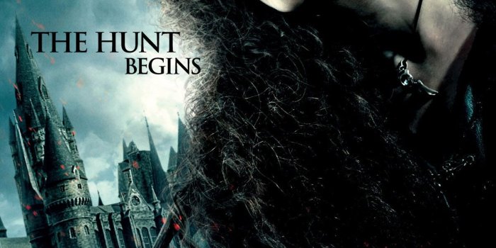 1200x1920 The Deathly Hallows images Deathly Hallows HD wallpaper and