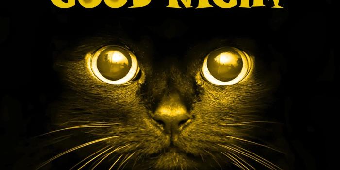 1920x1280 Showing Media & Posts for Funny scary good morning | www.picofunny.com