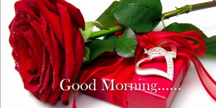 1280x720 Good Morning - Rose Flower - Inspirational Quotes - - Good Morning