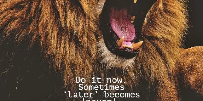 735x1103 56 Good Morning Quotes and Wishes with Beautiful Images