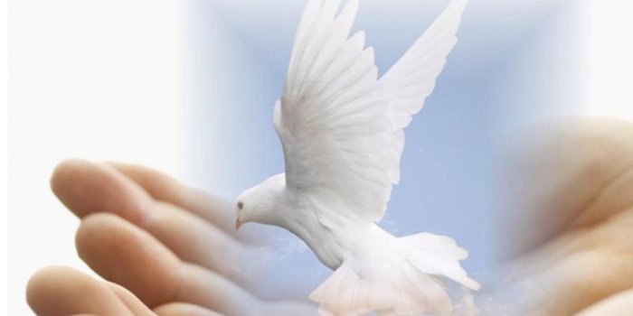 1440x840 Rest On All Sides In God's Peace - Jesus Photo (40469006) - Fanpop