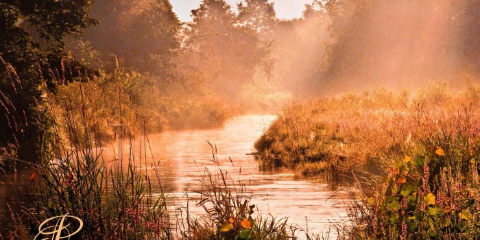 2171x1685 beautiful peace quotes hd