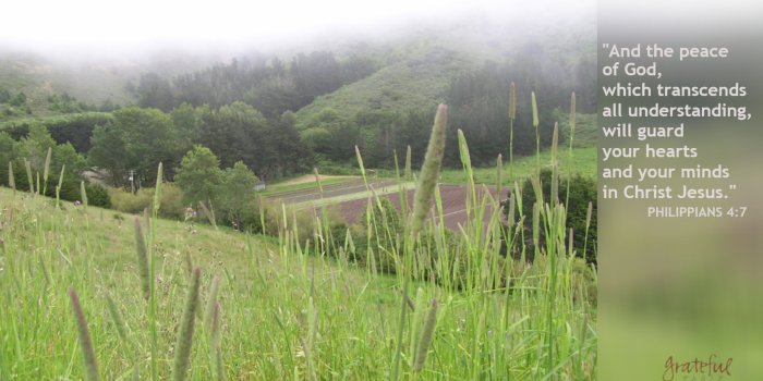 3087x1805 Soul Food Sunday: The Peace of God (Philippians 4:7) | Grateful Table