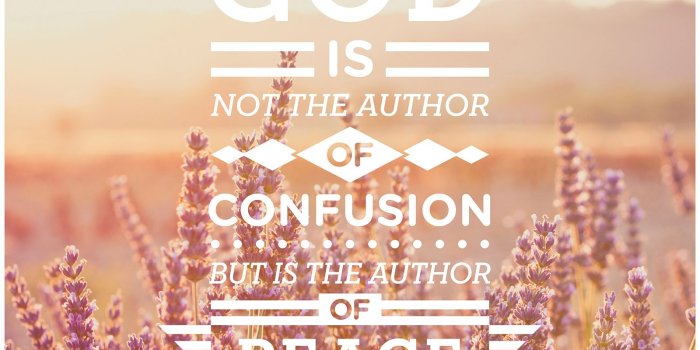 1600x1600 Author of Peace