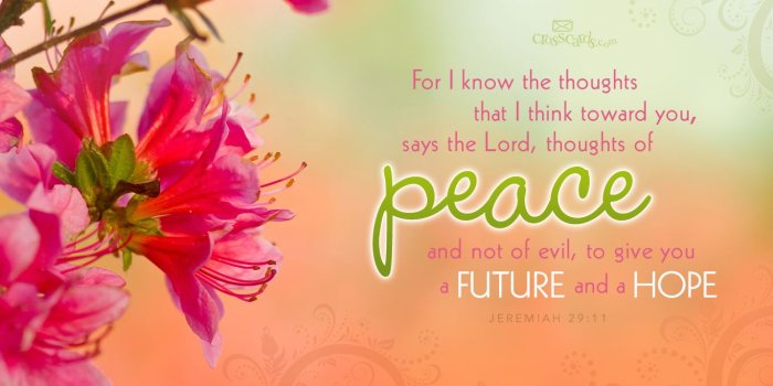 1366x768 Jeremiah 29:11 - Thoughts of Peace Wallpaper - Christian Wallpapers