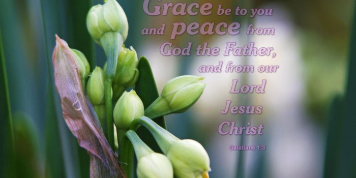 1280x800 Galatians 1:3 - Free Nature & Bible Desktop Background / Wallpaper