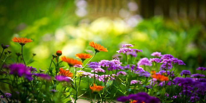 2560x1600 God's Timing « loretta j. willis, author