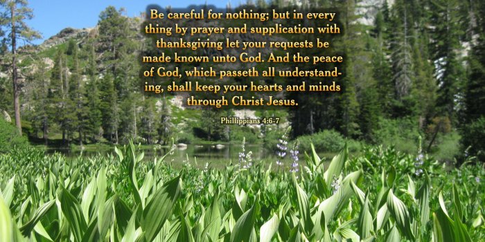 2667x1667 Philippians 4:6, 7 - Free Nature & Bible Desktop Background / Wallpaper