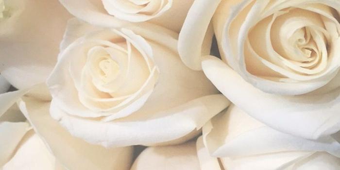 720x1280 Kandis Isom on f l o w e r s in 2019 | Flowers, White roses