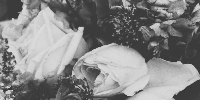 1080x1920 Black and White Rose Wallpaper (61+ images)