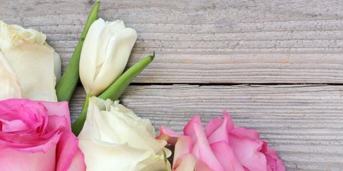 1080x1920 iPhone Wallpaper | Flower, Petal, Pink, White, Cut flowers, Rose