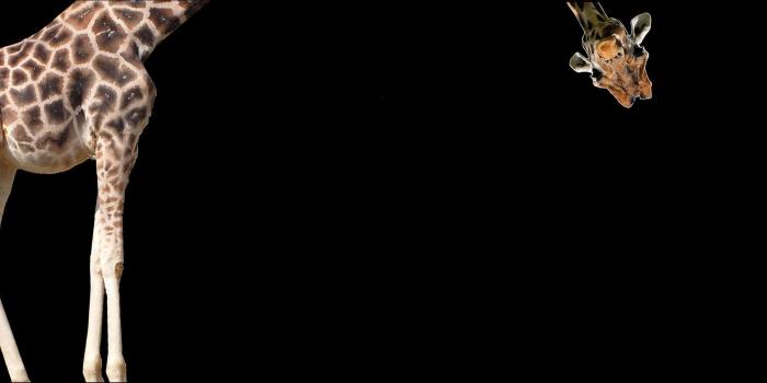 3840x1080 Dual Screen Wallpapers