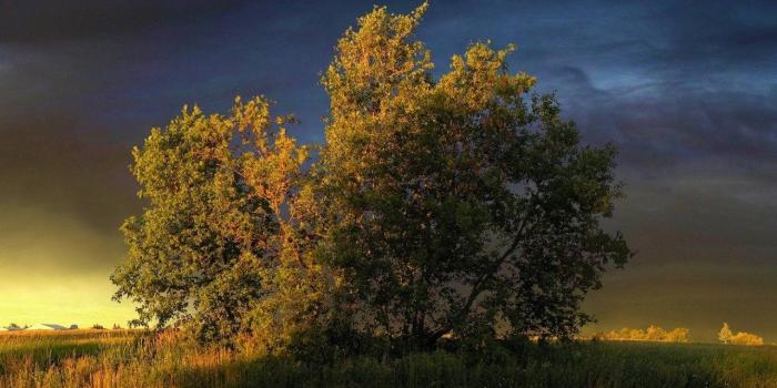 1280x720 Dual Monitor Wallpaper Hd Free 4K Dual Monitor Wallpapers Top Free