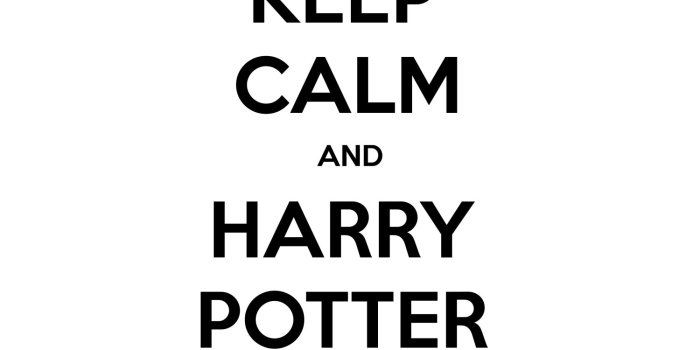 1500x1500 KEEP CALM AND HARRY POTTER AND MUGGLE | KEEP-CALM.net