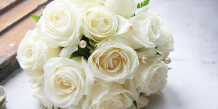 1920x1200 White Roses Wallpaper ·① WallpaperTag