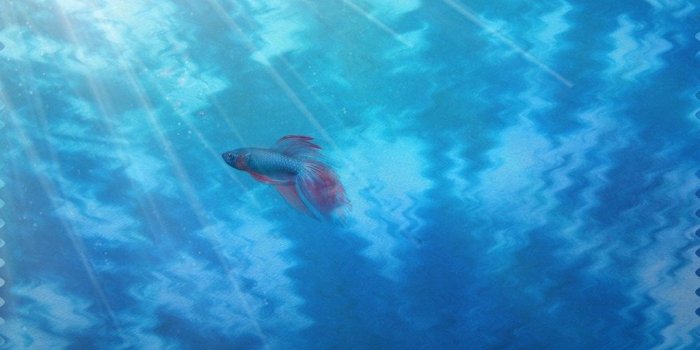 1024x768 Tie Dye : Desktop And Mobile Wallpapers : Wallippo Desktop Background