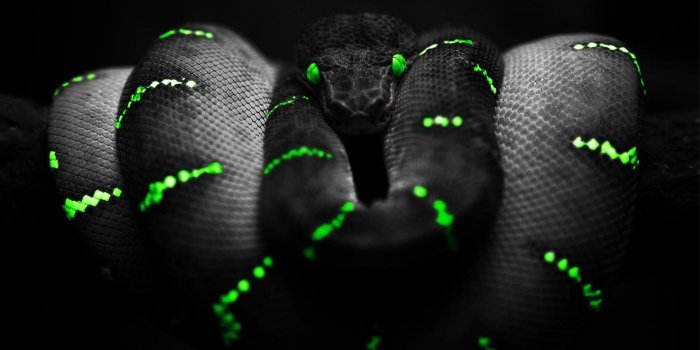 1920x1080 Black and Green Wallpapers (74+ background pictures)