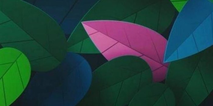 736x1664 Floral, leaves, black, pink, green, wallpaper, clean, galaxy, colour