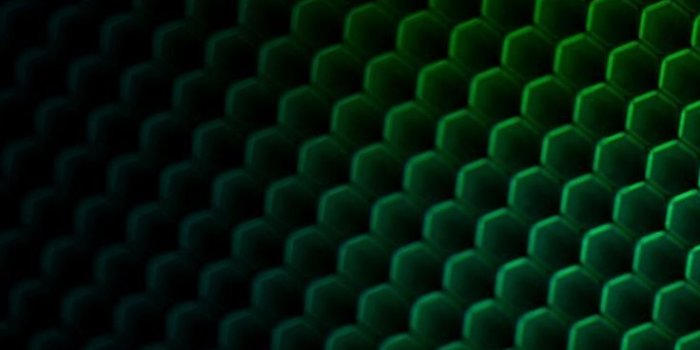 736x1308 Black and Green Wallpaper For Android - 2018 iPhone X Wallpaper