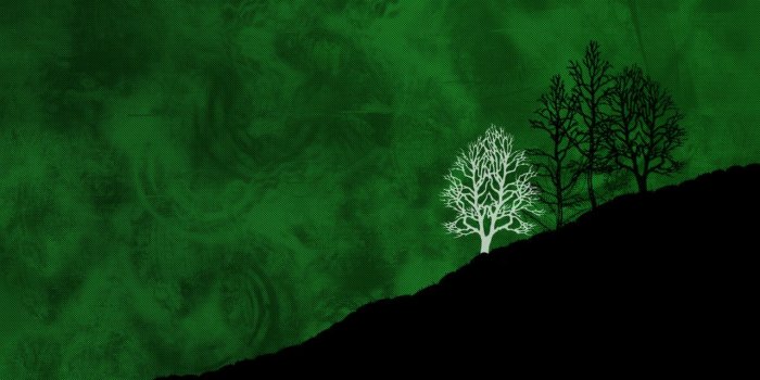 1280x1024 Black and green backgrounds - SF Wallpaper