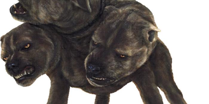 1024x884 Fluffy (Harry Potter) | Some Of My Favorite Things and People <3