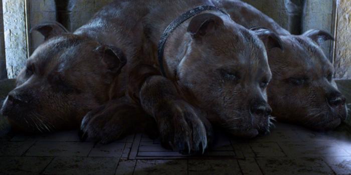 2048x1392 Everything extra JK Rowling has revealed about Harry Potter | The